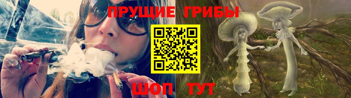 Галлюциногенные грибы Psilocybe  Галлюциногенные грибы прущие грибы  Торжок  Вход с VPN 